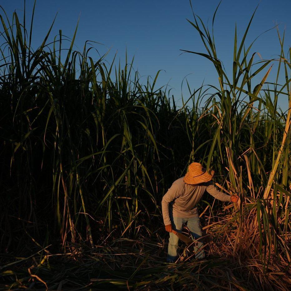 In a California farming region, researchers are mapping rural heat to protect farmworkers
